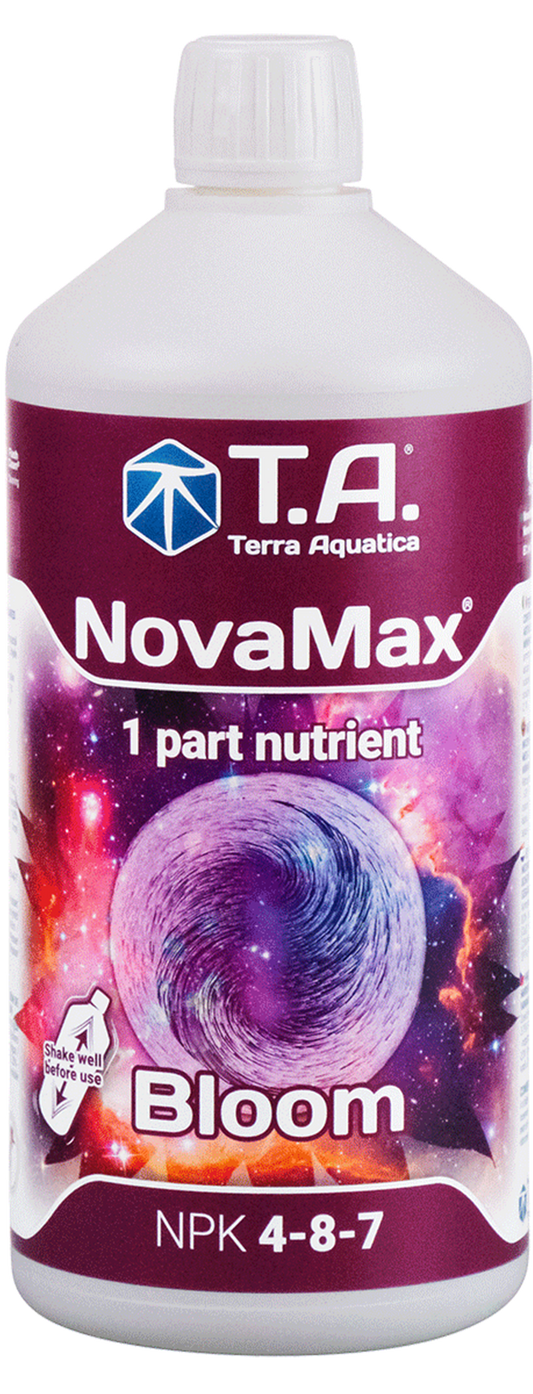 Nova Max Bloom