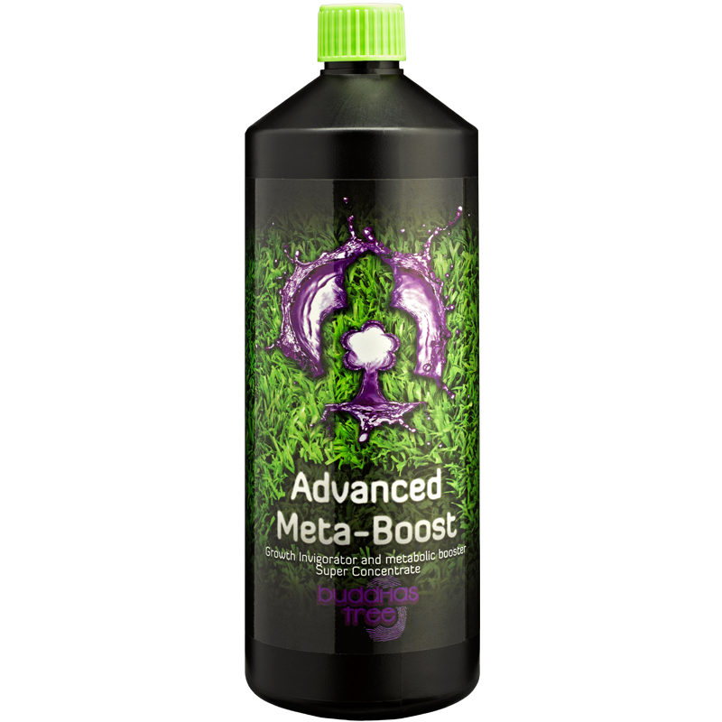Advanced Meta-Boost