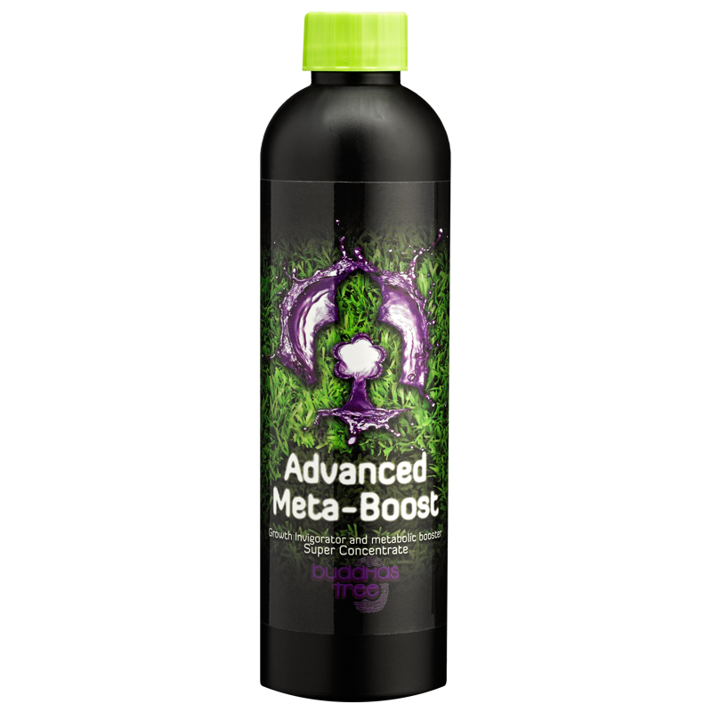 Advanced Meta-Boost