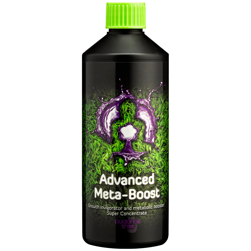 Advanced Meta-Boost