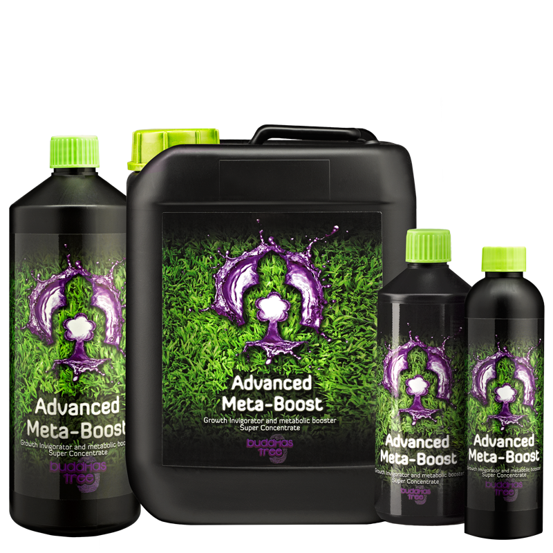 Advanced Meta-Boost