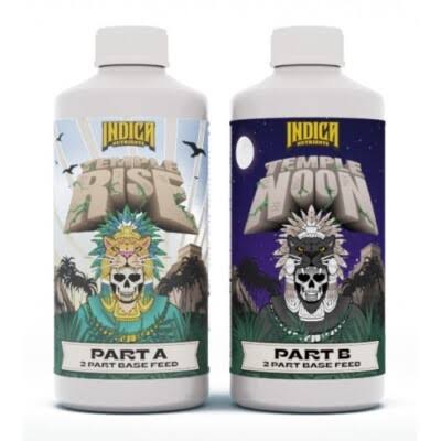 Indica Temple Noon 500ML