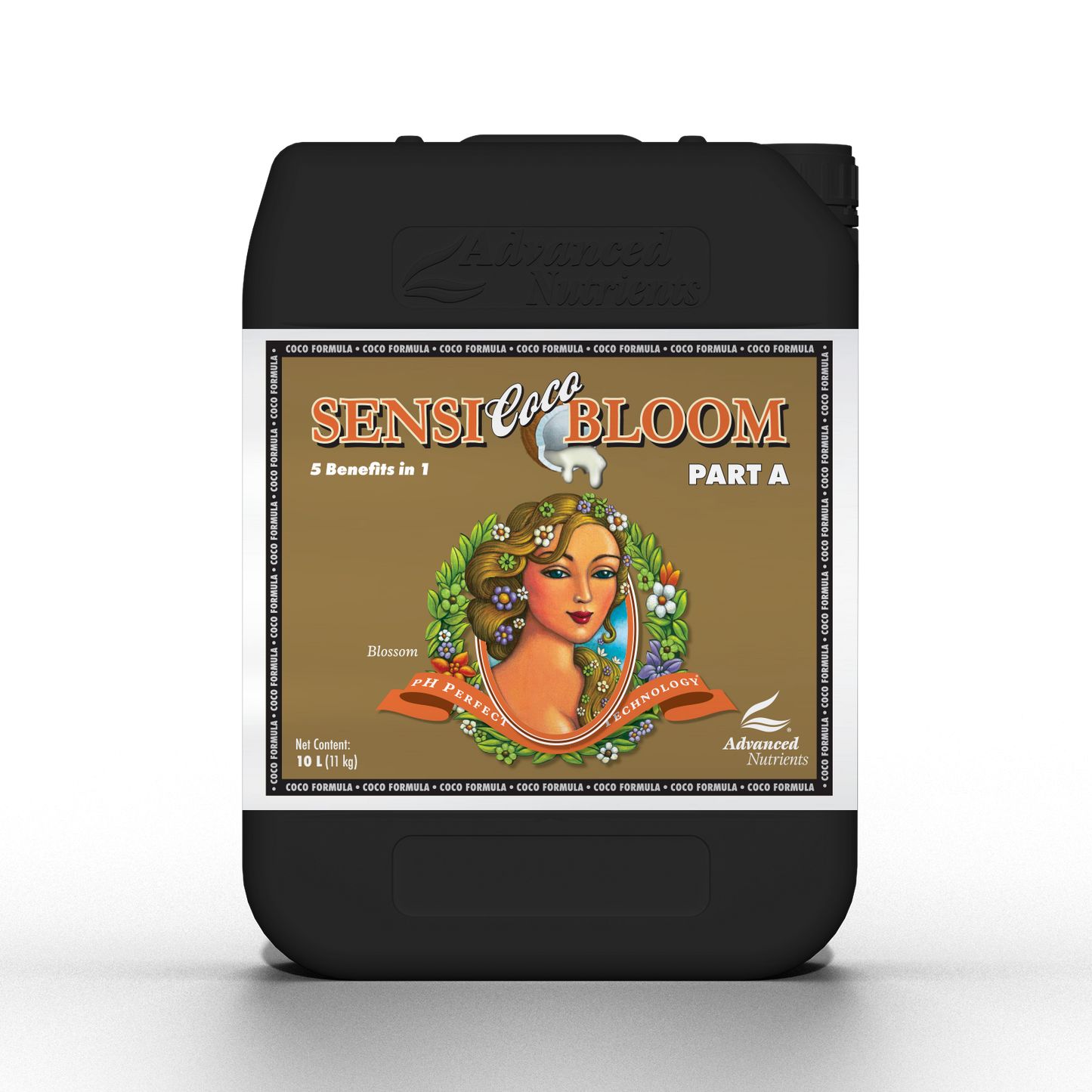 Sensi Coco Bloom A&B