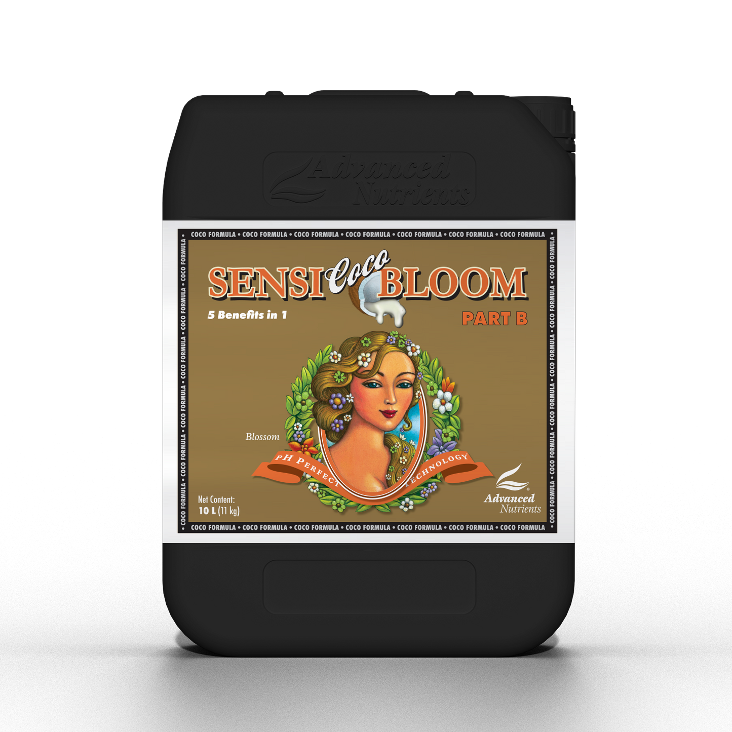 Sensi Coco Bloom A&B