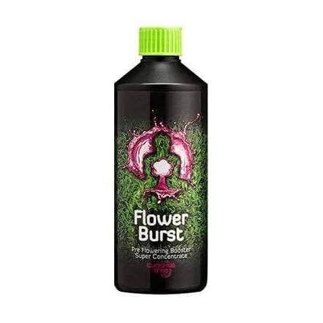 Buddhas tree flower burst 500ml