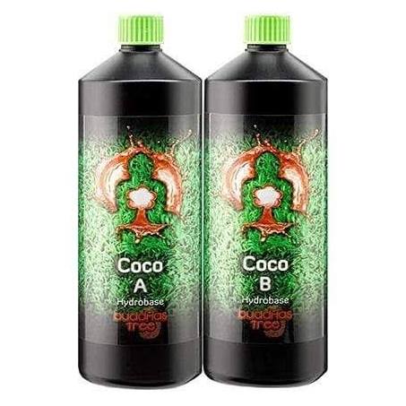 Buddhas tree coco A+B 1ltr