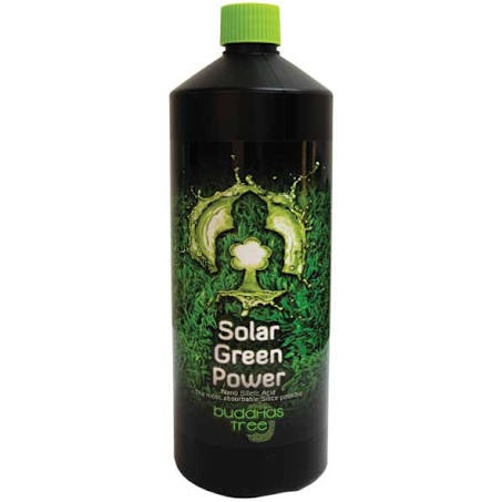 Buddhas tree solar green power 1ltr