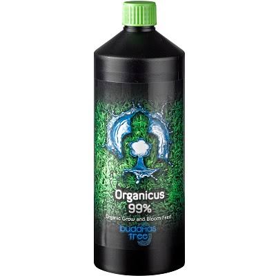 Buddhas tree Organicus 99% 1ltr