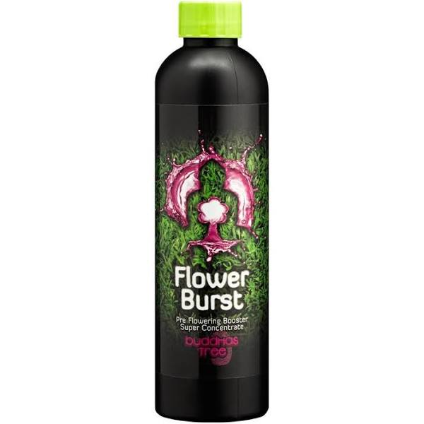 Buddhas tree Flower burst 250ml