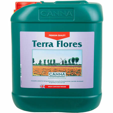 Canna Terra Flores