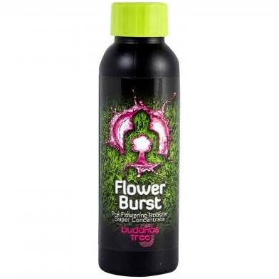 Buddhas Tree Flower Burst 100ml