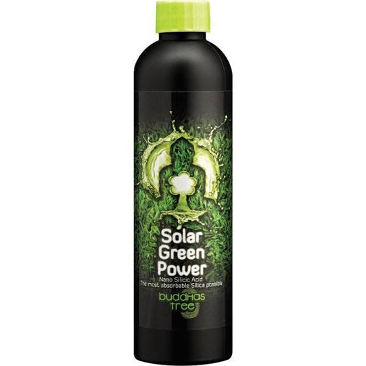 Buddhas tree solar green power 500ml