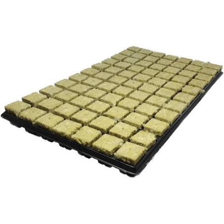 Rockwool cube trays