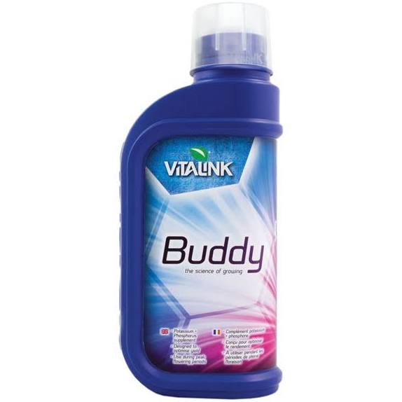 Buddy