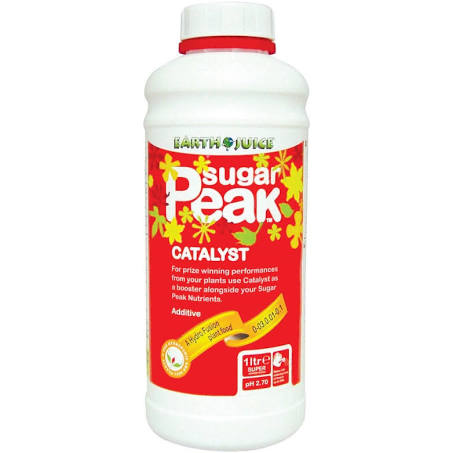 Sugar Peak